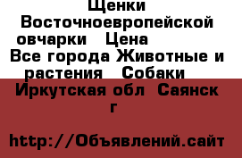 Щенки Восточноевропейской овчарки › Цена ­ 25 000 - Все города Животные и растения » Собаки   . Иркутская обл.,Саянск г.